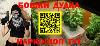индика Кулебаки